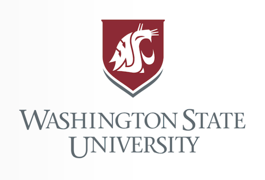 Art Program at Washington State University 