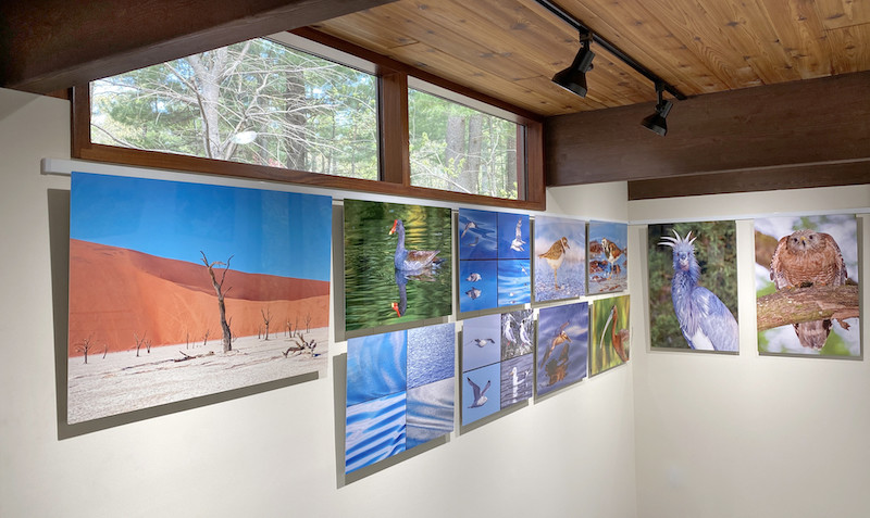 Gallery Wall Art Displays Made Easy with Art Hanging System