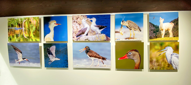 Picture Hanging System for Art Display