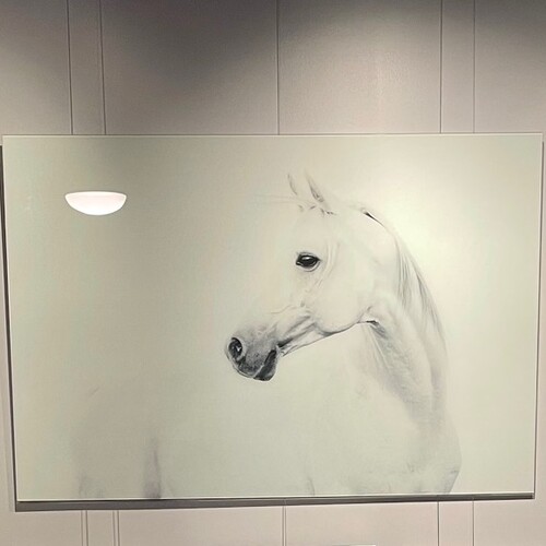 Pencil Drawing of Horse by Wilma Griffith hung on art hanging system